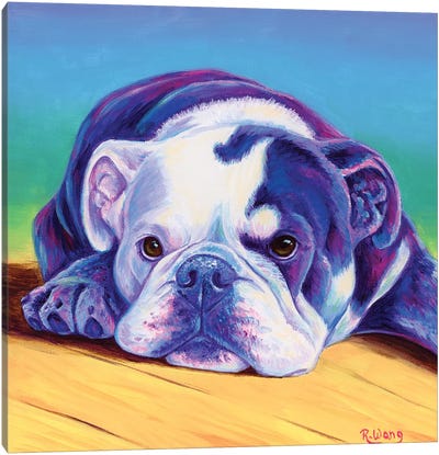 Sweet English Bulldog Canvas Art Print - Rebecca Wang