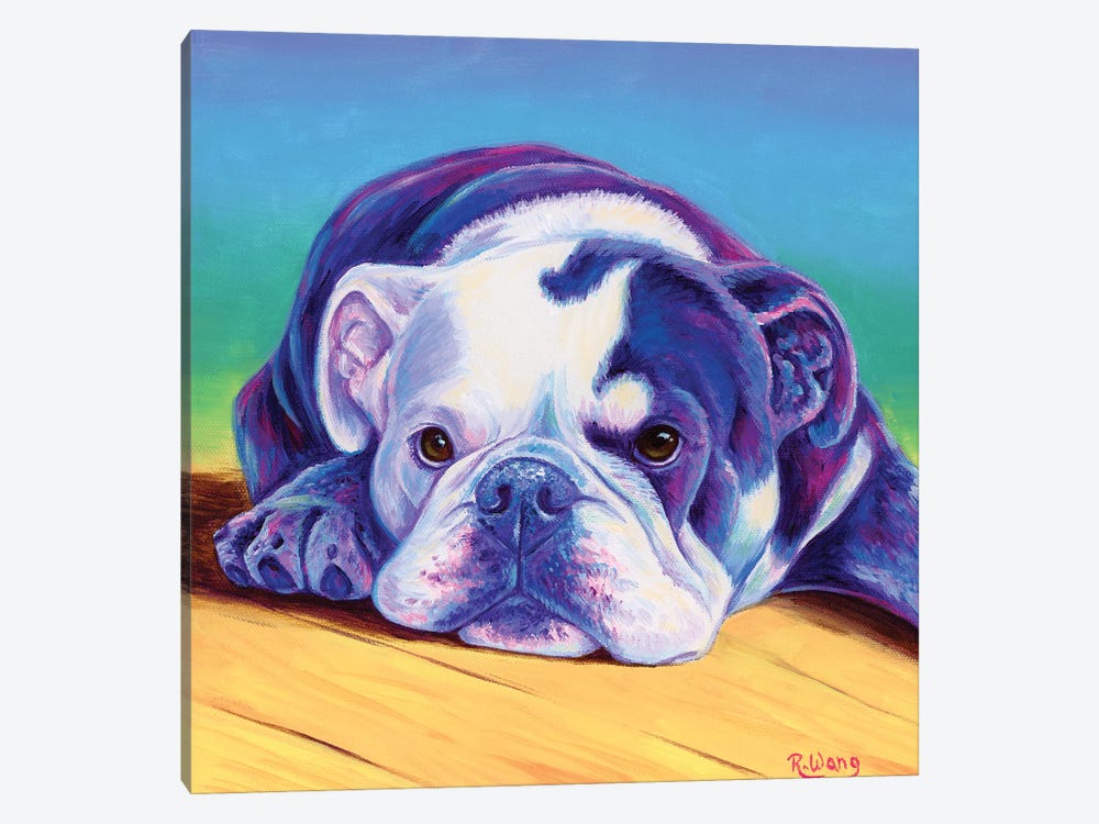 Sweet English Bulldog by Rebecca Wang 1-piece Canvas Print