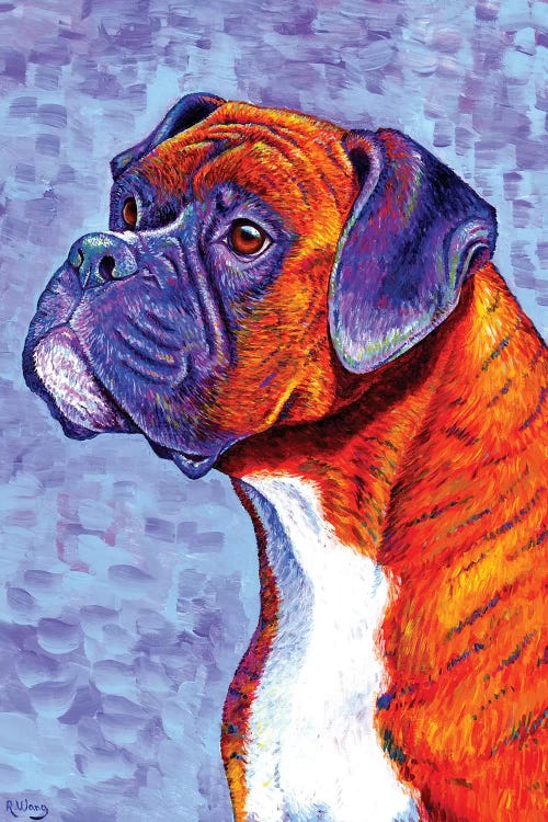 Devoted Guardian - Brindle Boxer Dog