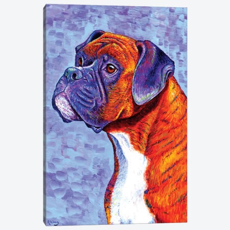 Devoted Guardian - Brindle Boxer Dog Canvas Print #RBW9} by Rebecca Wang Art Print