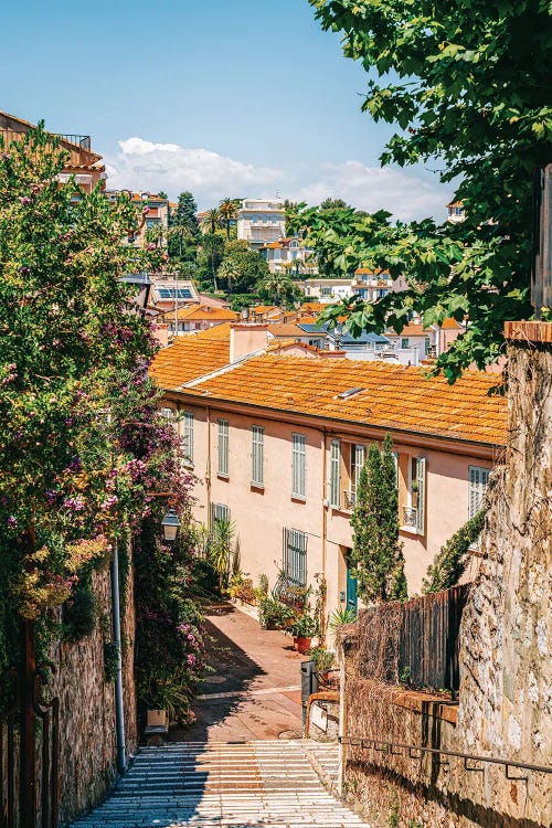 Houses in Cannes