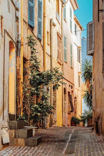 Provence-Alpes-Côte d'Azur: Street in Cannes by Radu Bercan