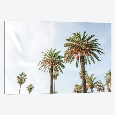 California Palm Trees, Summer Vibes, Miami Beach Canvas Print #RBZ211} by Radu Bercan Art Print