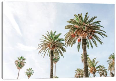 California Palm Trees, Summer Vibes, Miami Beach Canvas Art Print - Summer Art