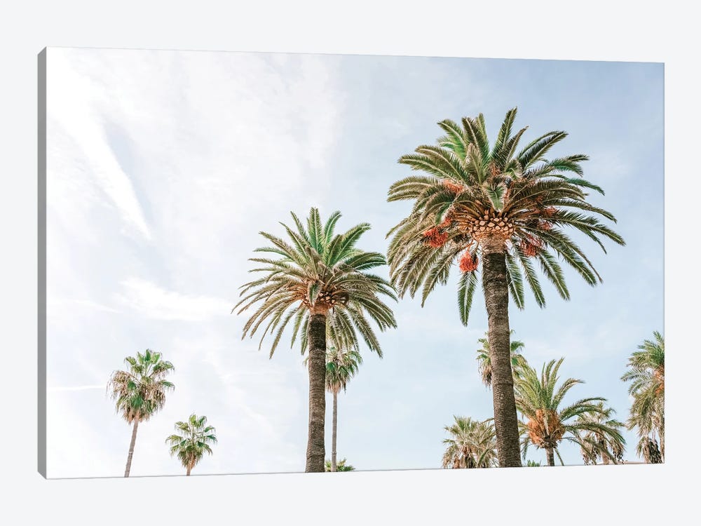 California Palm Trees, Summer Vibes, Miami Beach by Radu Bercan 1-piece Canvas Print