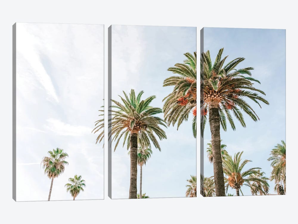 California Palm Trees, Summer Vibes, Miami Beach by Radu Bercan 3-piece Art Print