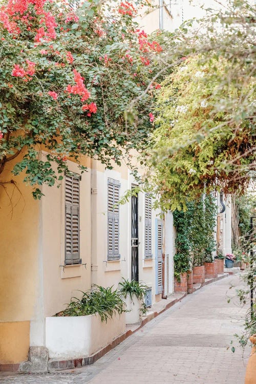 Antibes City Streets, France, French Riviera, Cote D'Azur by Radu Bercan wall art