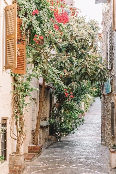 Radu Bercan: Charming Antibes City Streets, France, French Riviera, Cote D'Azur by Radu Bercan
