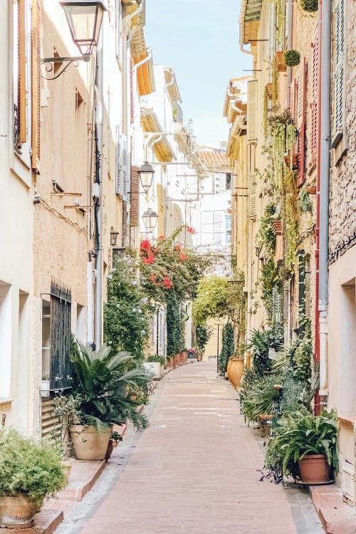 Antibes City Street In Autumn, France, French Riviera, Cote D'Azur