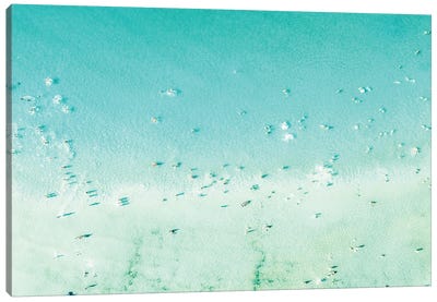 Aerial Ocean II Canvas Art Print - Aerial Beaches 