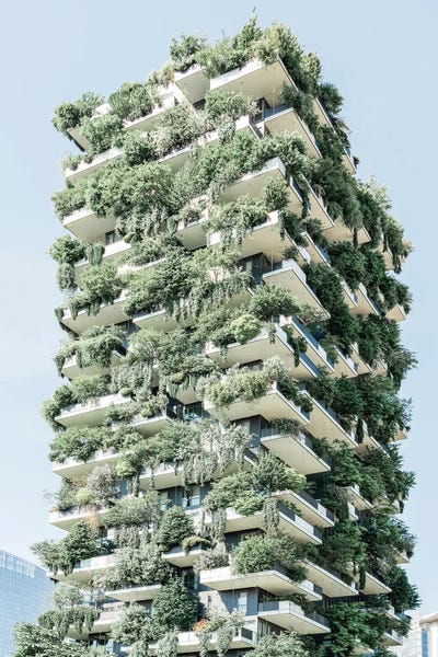 Bosco Vertical Forrest by Radu Bercan metal wall art