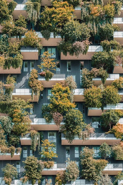 Bosco Vertical Forrest III by Radu Bercan metal wall art