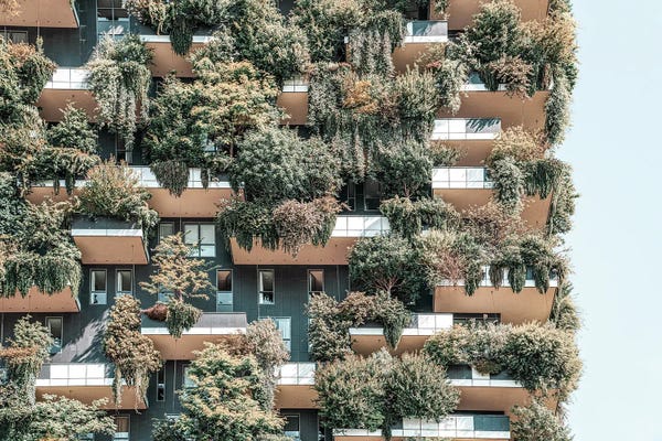 Radu Bercan: Bosco Vertical Forrest IV by Radu Bercan