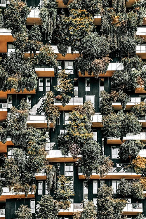 Bosco Vertical Forrest V by Radu Bercan wall art