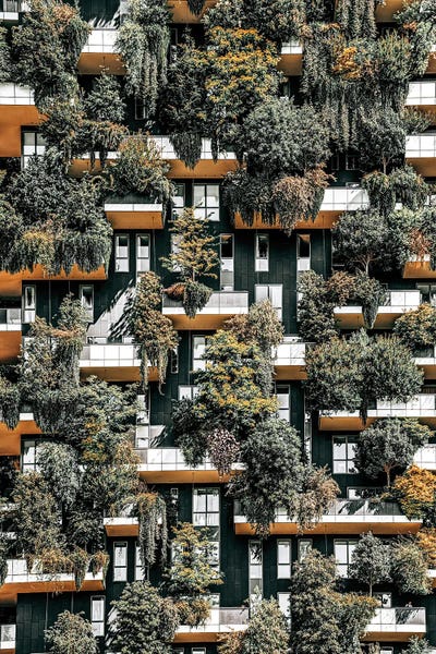 Radu Bercan: Bosco Vertical Forrest V by Radu Bercan