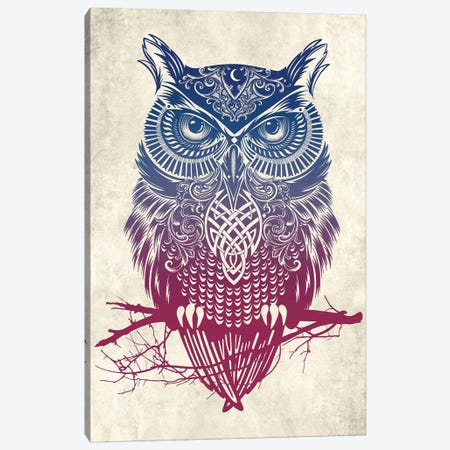 Warrior Owl Canvas Print #RCA11} by Rachel Caldwell Canvas Art Print