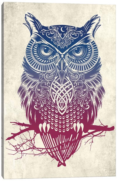 Warrior Owl Canvas Art Print