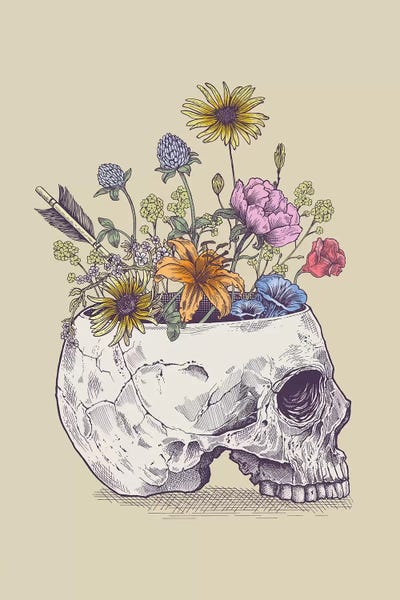 Daisies: Half Skull Flowers by Rachel Caldwell
