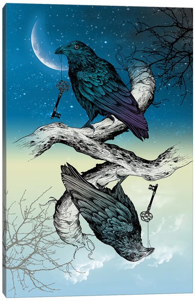 Raven Night And Day Canvas Art Print - Crow Art