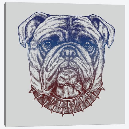 Gritty Bulldog Canvas Print #RCA2} by Rachel Caldwell Canvas Print