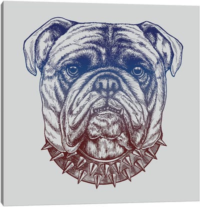 Gritty Bulldog Canvas Art Print