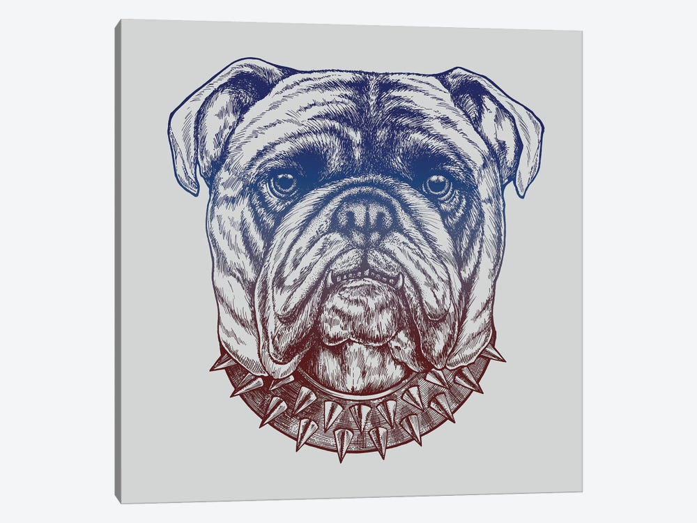 Gritty Bulldog 1-piece Canvas Artwork