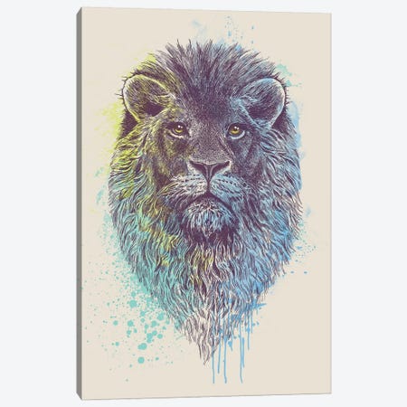 Lion King Canvas Print #RCA5} by Rachel Caldwell Canvas Art