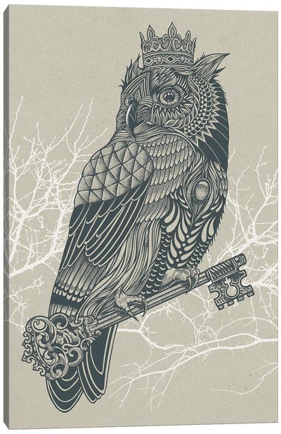 Owl King Canvas Art Print