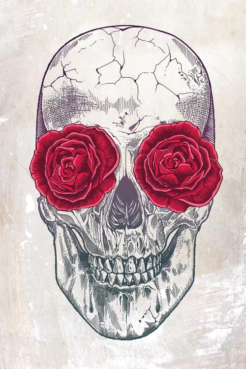 Skull & Roses by Rachel Caldwell wall art