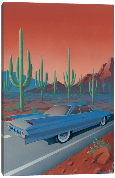 Saguaro National Park Canvas Art Print - Desert Art