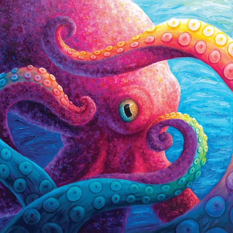 Octopus