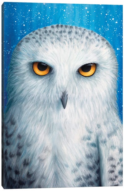 Snowy Owl Canvas Art Print - Rachel Froud