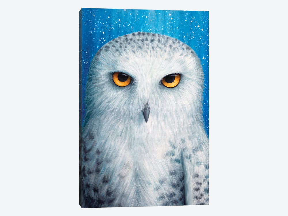 Snowy Owl by Rachel Froud 1-piece Canvas Art Print