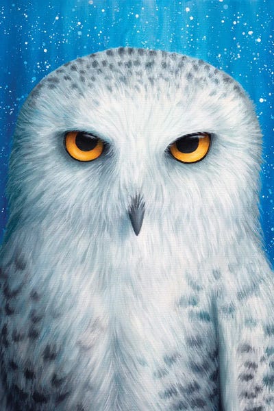 Rachel Froud: Snowy Owl by Rachel Froud