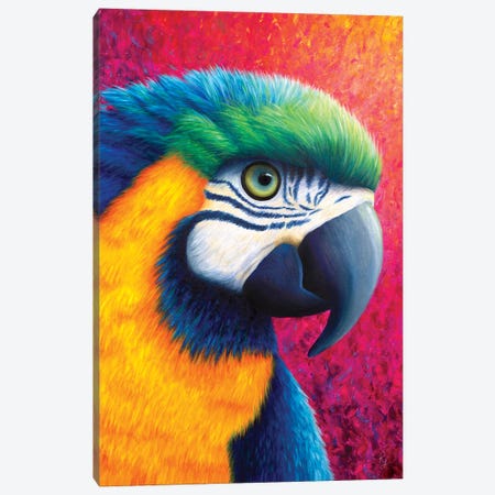 Parrot Canvas Print #RCF12} by Rachel Froud Canvas Wall Art