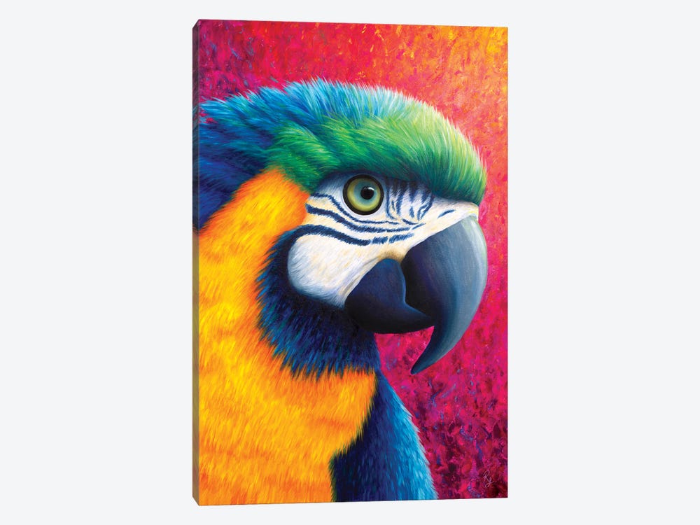 Parrot by Rachel Froud 1-piece Canvas Art