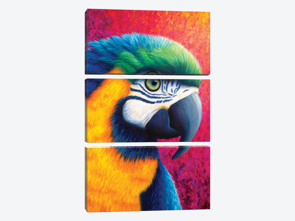 Parrot by Rachel Froud 3-piece Canvas Art