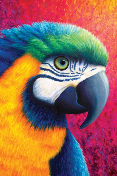 Chromatic Kingdom: Parrot by Rachel Froud