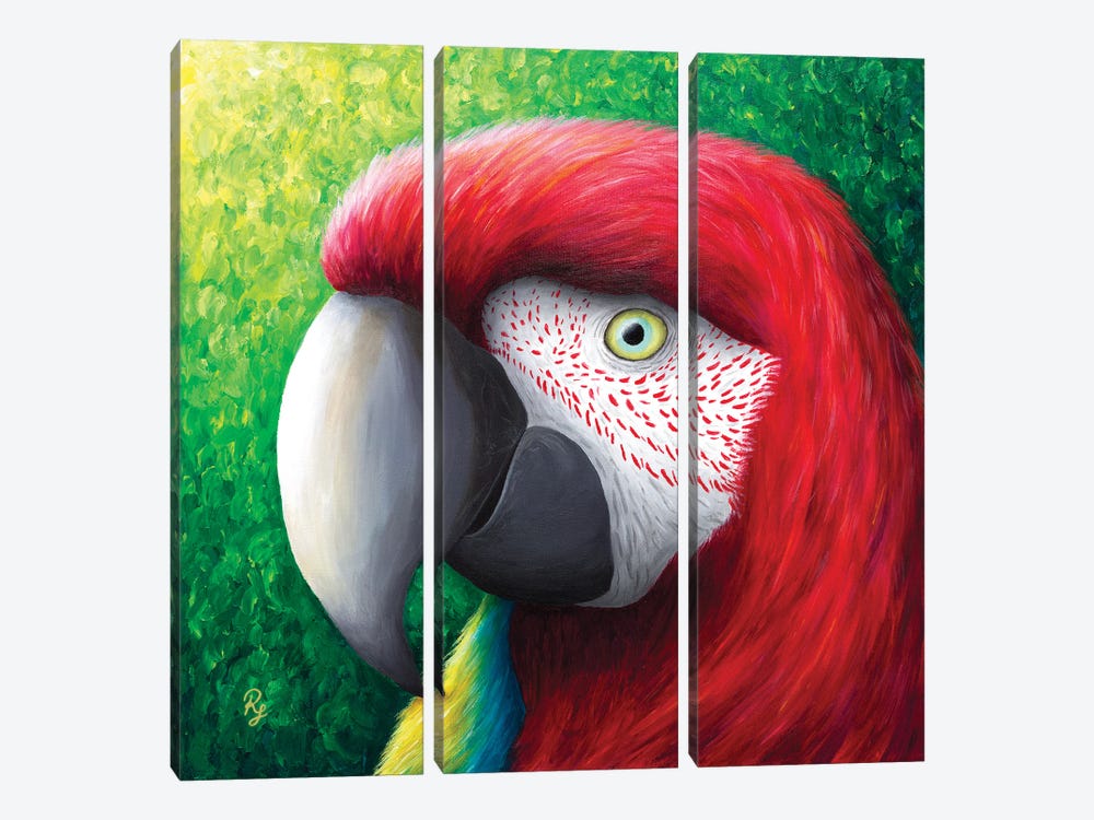 Red Parrot by Rachel Froud 3-piece Canvas Art Print