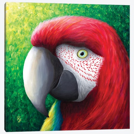 Red Parrot Canvas Print #RCF13} by Rachel Froud Canvas Art