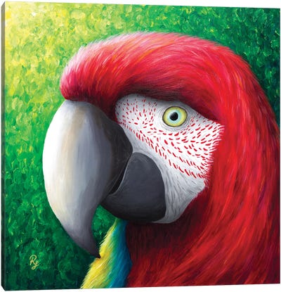 Red Parrot Canvas Art Print - Chromatic Kingdom