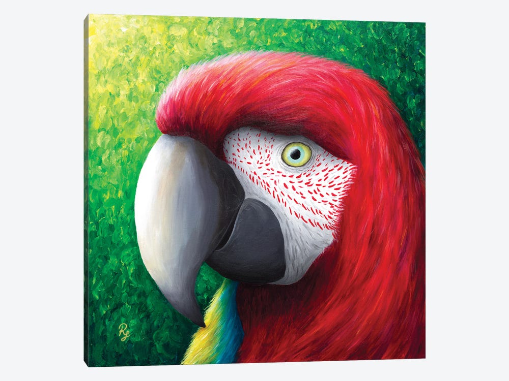 Red Parrot by Rachel Froud 1-piece Canvas Print