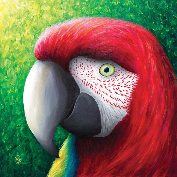 Chromatic Kingdom: Red Parrot by Rachel Froud