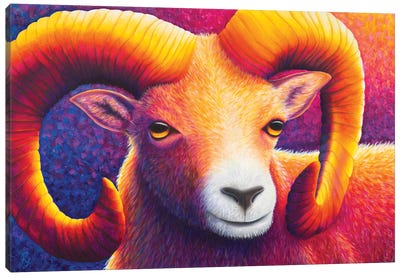 Ram Canvas Art Print - Rachel Froud