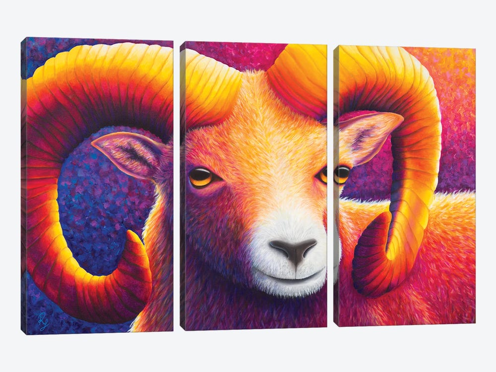 Ram by Rachel Froud 3-piece Canvas Artwork