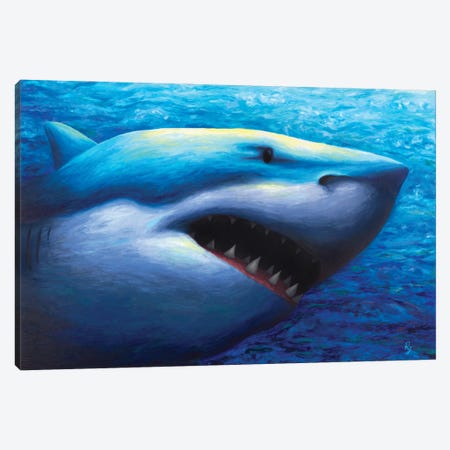 Shark Canvas Print #RCF15} by Rachel Froud Canvas Art Print