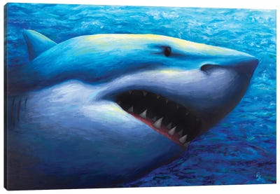 Shark Canvas Art Print - Great White Shark Art