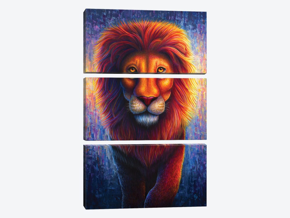 Lion by Rachel Froud 3-piece Canvas Artwork