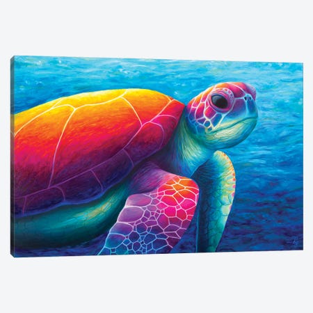 Turtle Canvas Print #RCF17} by Rachel Froud Canvas Art Print