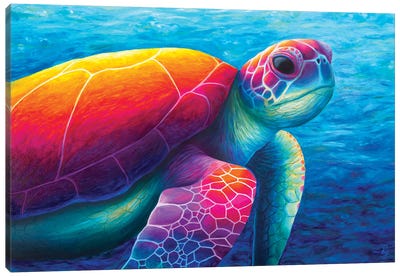 Turtle Canvas Art Print - Chromatic Kingdom